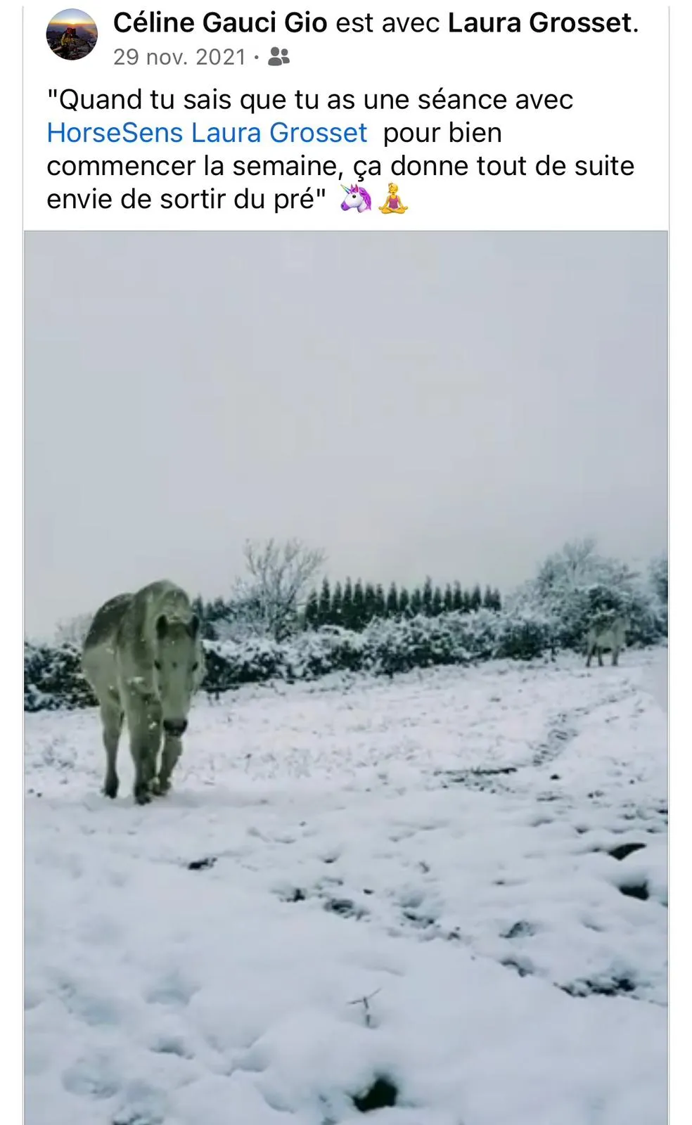 Avis client HorseSens