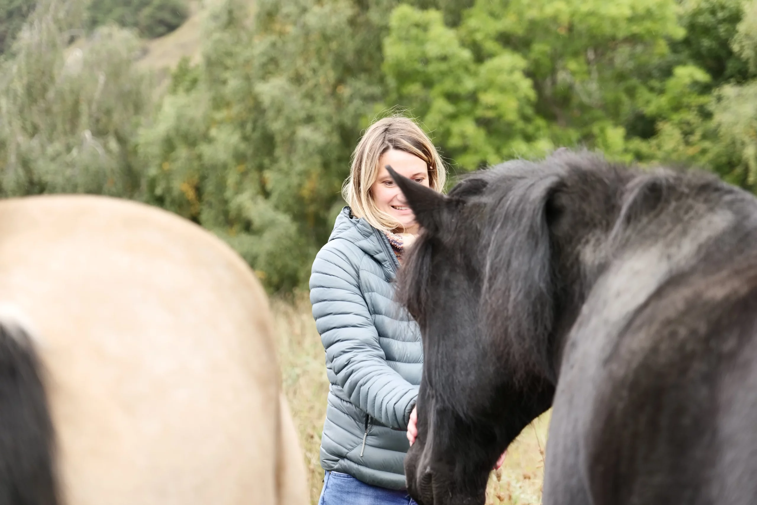 Immersions-HorseSens-LauraGrosset (3)