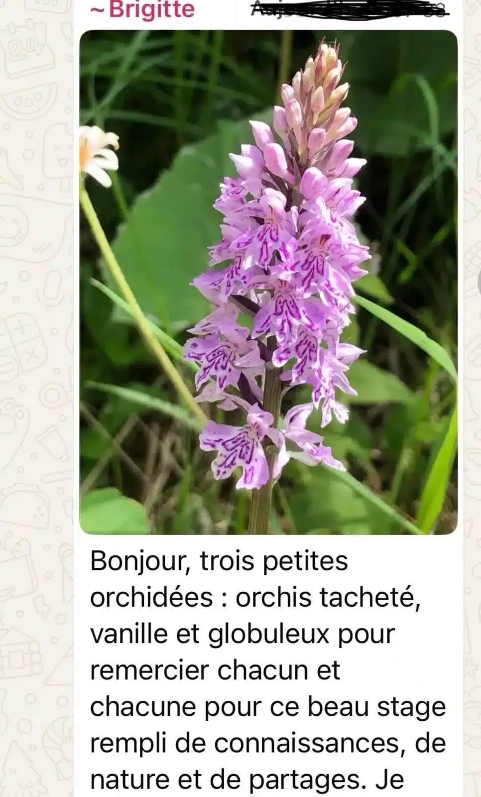 Avis client HorseSens